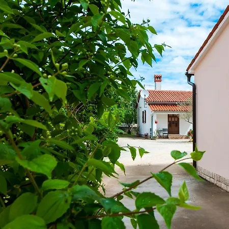House Ulika *