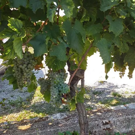 Апартаменты House Ulika