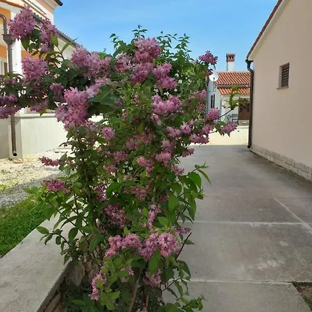 House Ulika Apartment *