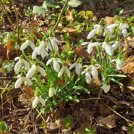 Apartment House Ulika Bale